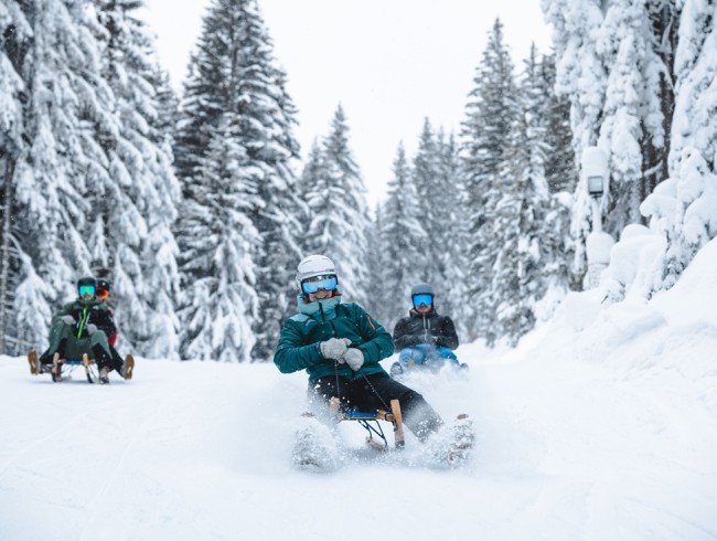 Lustige Rodelpartie auf einer der zahlreichen und teilweise beleuchteten Rodelstrecken © Schladming-Dachstein_Mathäus Gartner